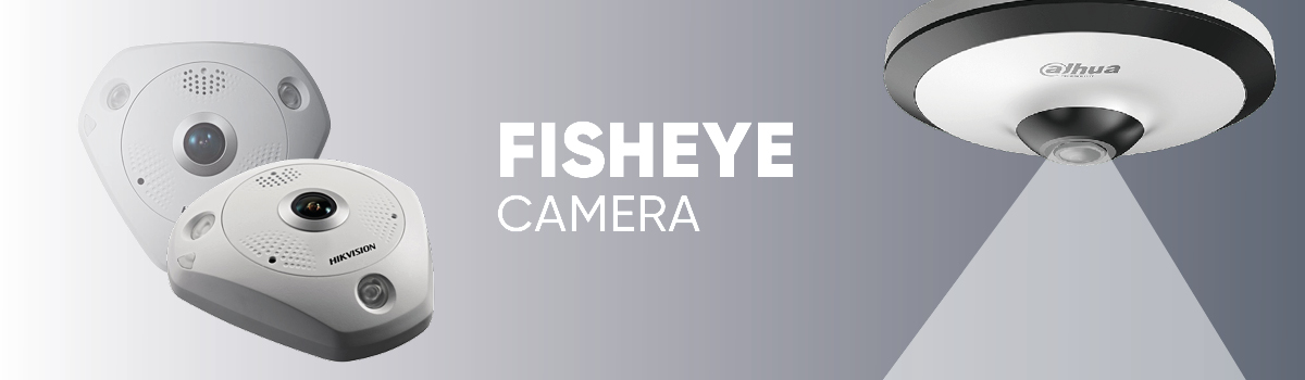 Fisheye Camera